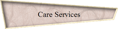 Care Services