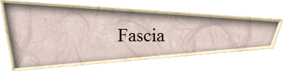Fascia
